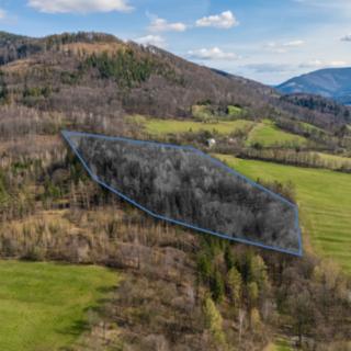 Prodej lesa 20736 m² Vyšní Lhoty
