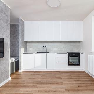 Prodej bytu 1+kk a garsoniéry 25 m² Frýdek-Místek, Bruzovská