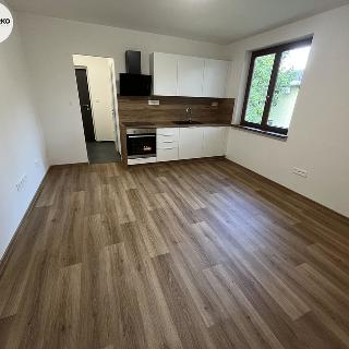 Pronájem bytu 2+kk 39 m² Frýdek-Místek, Beskydská