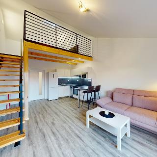 Pronájem bytu 1+kk a garsoniéry 46 m² Brno, Příjezdová