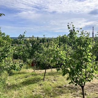 Prodej stavební parcely 727 m² Bučovice, Zahradní