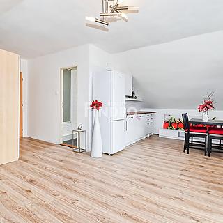 Pronájem bytu 1+kk, garsoniery 35 m&sup2; Strančice