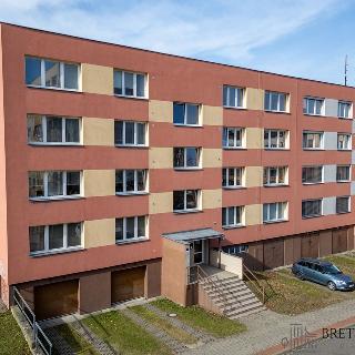 Pronájem bytu 3+1 75 m² Ostrava, Oskara Motyky