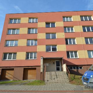 Pronájem bytu 3+1 75 m² Ostrava, Oskara Motyky