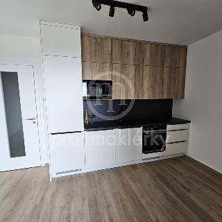 Pronájem bytu 1+kk a garsoniéry 37 m² Brno, Sokolova