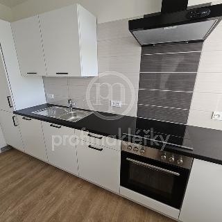 Pronájem bytu 2+1 54 m² Zbýšov, Sportovní