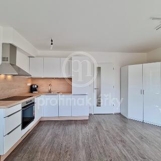 Pronájem bytu 1+kk a garsoniéry 36 m² Brno, Spolková