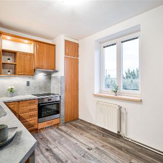 Pronájem bytu 1+1 42 m² Znojmo, U Lesíka