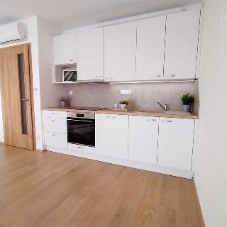 Pronájem bytu 1+kk, garsoniery 42 m² Velká Bíteš