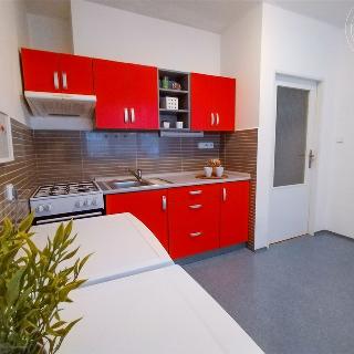 Pronájem bytu 1+1 39 m² Znojmo, Hálkova