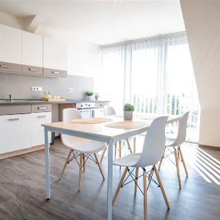 Pronájem bytu 3+kk 95 m² Tasovice