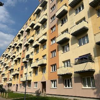 Pronájem bytu 1+1 35 m² Brno, Jílová