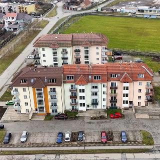 Prodej bytu 3+kk 65 m² Hrušovany u Brna, Vodní