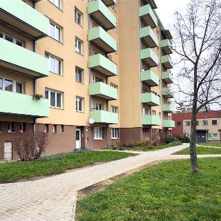 Pronájem bytu 2+1 53 m² Znojmo, Pražská sídl.