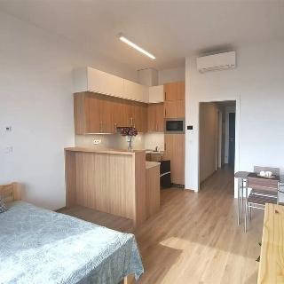 Pronájem bytu 1+kk a garsoniéry 32 m² Znojmo, Kotkova