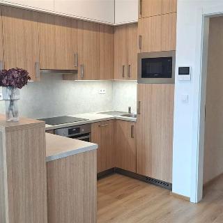 Pronájem bytu 1+kk a garsoniéry 38 m² Znojmo, Kotkova