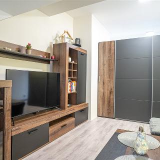 Pronájem bytu 1+kk a garsoniéry 48 m² Hrušovany nad Jevišovkou, Příční