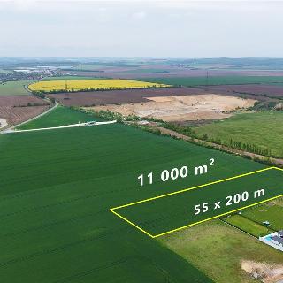 Prodej komerčního pozemku 11 000 m² Tasovice