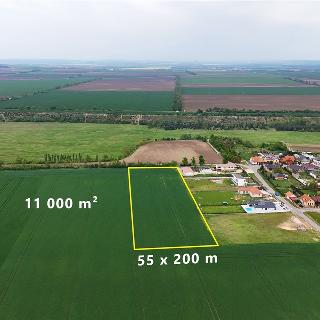 Prodej komerčního pozemku 11000 m² Tasovice