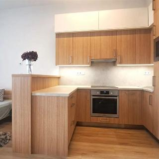 Pronájem bytu 1+kk a garsoniéry 38 m² Znojmo, Kotkova