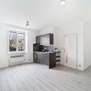 Prodej bytu 1+kk a garsoniéry 31 m² Znojmo, Růženy Svobodové