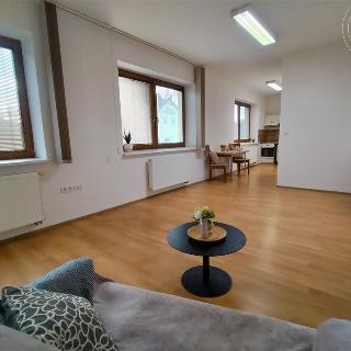 Pronájem bytu 1+kk a garsoniéry 35 m² Skalice