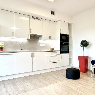 Pronájem bytu 1+kk a garsoniéry 44 m² Brno, Koperníkova