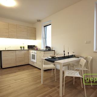 Pronájem bytu 1+kk a garsoniéry 35 m² Bučovice, Osvobození