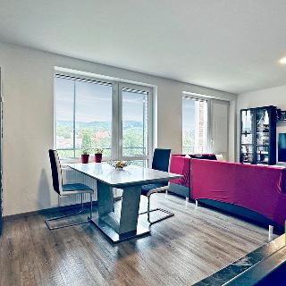 Prodej bytu 3+kk 92 m² Brno, Padělíky