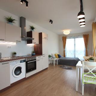 Pronájem bytu 1+kk a garsoniéry 33 m² Brno, Bratislavská