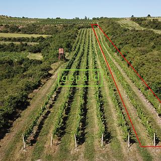 Prodej ostatních pozemků 2166 m&sup2; Starovice