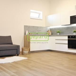 Pronájem bytu 1+kk a garsoniéry 40 m² Bučovice, Osvobození
