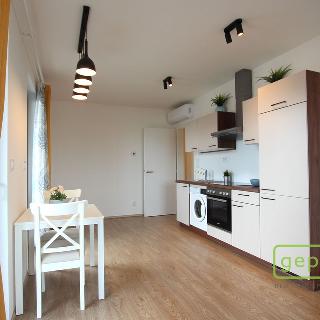 Pronájem bytu 1+kk a garsoniéry 33 m² Brno, Bratislavská