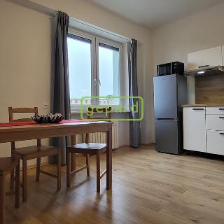 Pronájem bytu 1+1 39 m² Brno