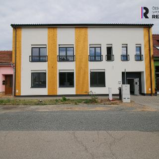 Prodej bytu 3+1 164 m² Hrušovany u Brna, Vodní