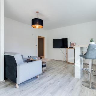 Pronájem bytu 2+kk 54 m² Praha, Nad Rokoskou