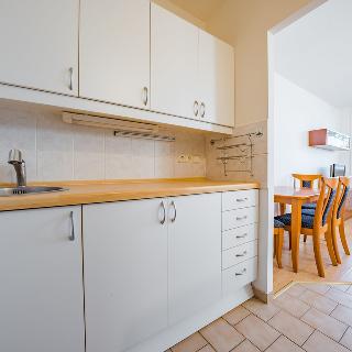 Pronájem bytu 2+kk 40 m² Kladno, Holandská