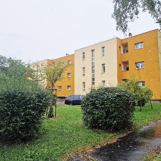 Pronájem bytu 3+1 81 m² Kladno, Kordačova