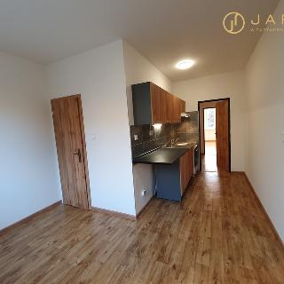 Prodej bytu 2+1 60 m² Chomutov, 17. listopadu