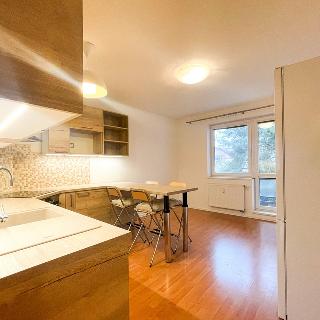 Pronájem bytu 3+kk 74 m² Praha, Záběhlická