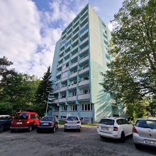 Pronájem bytu 2+1 52 m² Kladno, Vitry