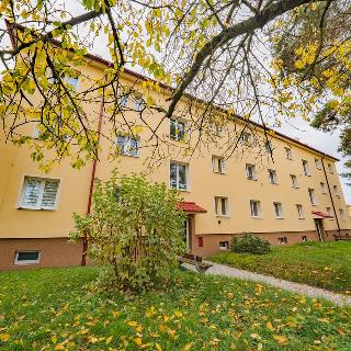 Prodej bytu 2+1 57 m² Kladno, Otevřená