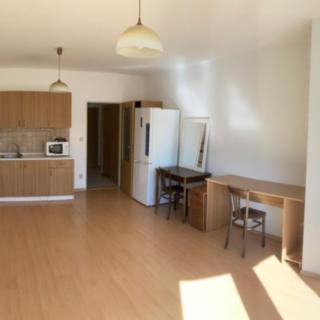 Pronájem bytu 1+kk a garsoniéry 37 m² Olomouc Neředín, Rumunská