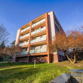 Prodej bytu 2+1 55 m² Beroun, Pod Homolkou