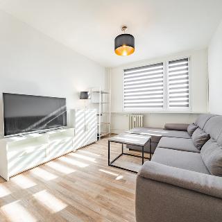 Pronájem bytu 2+kk 40 m² Kladno, Italská