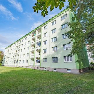 Prodej bytu 2+1 56 m² Kladno, Havanská