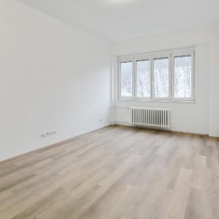 Pronájem bytu 2+1 46 m² Praha, Vrchlického