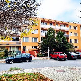 Prodej bytu 3+1 76 m² Jince, Zborovská