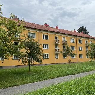 Pronájem bytu 2+1 63 m² Kopřivnice, Javorová