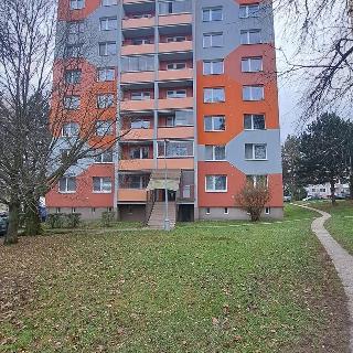 Prodej bytu 3+1 66 m² Rožnov pod Radhoštěm, Svazarmovská